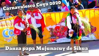 Carnavalesco Coya 2020,Danza Papa Mujunacúy de Comunidad Sihua