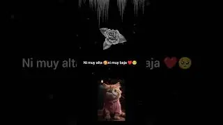 te amor 🥺❤️ mi chaparrita 💕 hermosa 😍👑