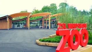 Discover the magical animals of Whipsnade zoo on a family day out 2023 tour