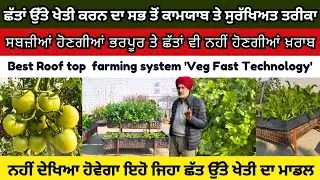 Best roof top garden system,Veg fast technology। ਛੱਤਾਂ ਉੱਤੇ ਸਬਜ਼ੀਆਂ ਉਗਾਉਣ ਦਾ ਸਭਤੋਂ ਵਧੀਆ ਤਰੀਕਾ