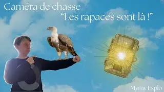 Caméra de chasse, les rapaces sont là !