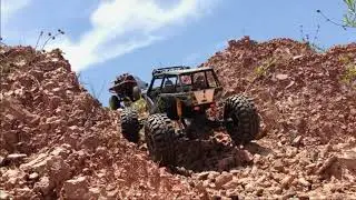 Suriname Trail #5