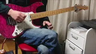 原罪のレイクエム　弾いてみた　KOTOKO