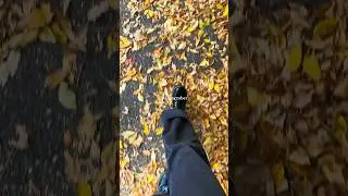 October is a feeling #pnw #fall #washington #seattle #october