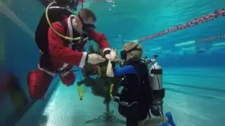 Nurek Mikołaj - CENTRUM NURKOWE AQUA AGA TORUŃ