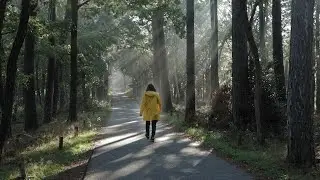 Capturing FOG and SUN RAYS: Morning Photography Adventure