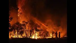 Podcast: Wildfires, climate action tipping points, and helping stroke patients
