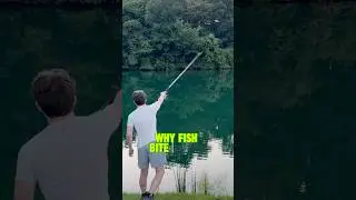 Here&rsquo;s WHY Fish Bite BETTER In The Rain! 🌧️ 🎣 #shorts #fishing