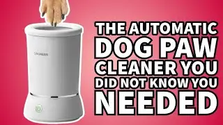 THIS CLEANS YOUR DOG PAWS AUTOMATICALLY AND FAST (MESS-FREE)-  Link in the description