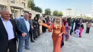 Koma haco  Cizre Cudi Mahallesi'nde Mevlüt & rojin düğün part 3