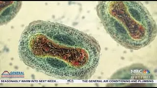 Clarifying Monkeypox Misinformation As Cases Rise, Safety for Splash House