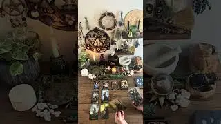 Cancer ♋️ The Empress & Surprising Prosperity