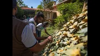 Native Horizons - A walk through Upstream Ecology Nursery | The Nilgiris Earth Festival 2024