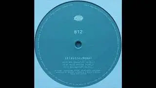 B12 - Basic Emotion (2017)