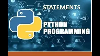 P4. Statements in Python