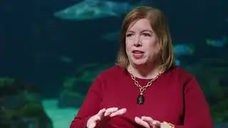 Rebuilding Chicago's Beloved Landmark: Shedd Aquarium- Exclusive BTS! | Built to Last TV S9 E1 Clip