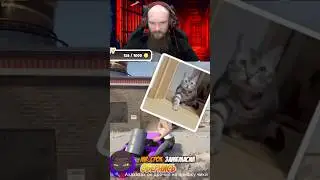 ЗАСКАМИЛИ ЛЫСОГО СКУФА) #stepplay #скам #скуф #лысый #юмор #стрим #моментысострима