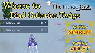 Pokemon Scarlet and Violet - Where to Find Galarica Twigs