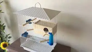 Gaiola p/ Cria&ccedil;&atilde;o Agaporne / Calopsita Vivopet &ndash; 906