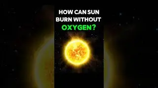 How Does the Sun Burn without Oxygen in Space? #space #shorts #science