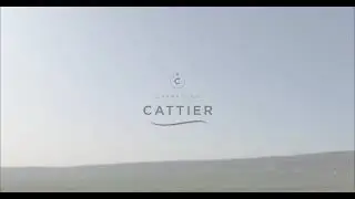 cattier brand video