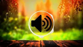 Bro did an outro sounds effect[No Copyright Music] [Reverb & Slowed] {NCS}🤗🤗