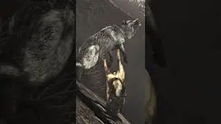 Almost got killed 🤕