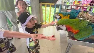 Desaru mini zoo #2025Dec #schoolholidays25 