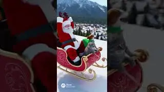 #funnyvideo  #foryou  #cat  #fypシ  #dog
