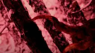The Evil Suite | Blood In Them Hills | Original Soundtrack by Kevin Tye