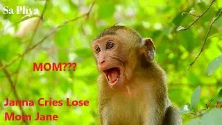 Baby Janna Cry Lose Mom Jane Very Loudly On High The Tree, Don't Leave Me Alone, Where Are You Mom?