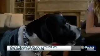 Salina schedules all-mail election on pit bull ban repeal