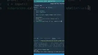 Python script for scanning 