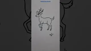 How to Draw a Deer Easy #trending #shorts #ytshorts #youtubeshorts #shortvideo #outlinedrawing