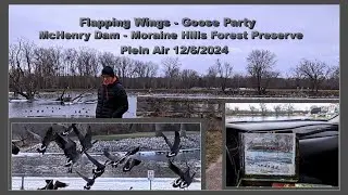 Flapping Wings - Goose Party - McHenry Dam - Moraine Hills Forest Preserve   Plein Air 12 /6 /2024