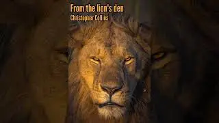 From the lion's den (original song) By: Christopher Collins 