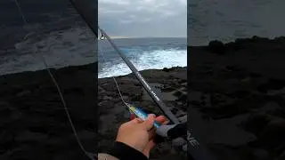 Shore jigging setup Shimano Coltsniper Xtune paired with a Saragosa 40lb braid, 80lb leader, 80g jig