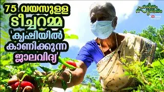 The Magic of a 75 year old Teacher in farming | Haritham Sundharam | EP 285 | Kaumudy
