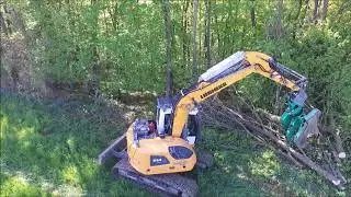 Liebherr 914 Compact mit Woodcracker C350