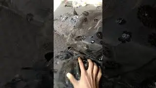 #Ranaabdulhakeemdressdezainor#fashion #kpbs #viral#video #love#game