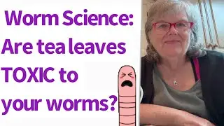 Worm Science: Are tea leaves TOXIC to your red wiggler composting worms?