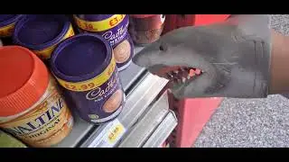 SB Movie: Shark Puppet Goes To Best One!
