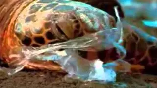 save biodiversity