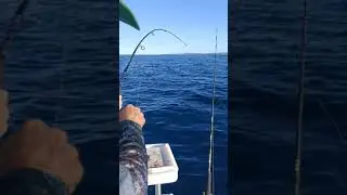 Winter fishing on the Tweed Coast Australia