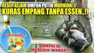 RACIKAN KEJAM UMPAN PUTIH MURNI TANPA ESSEN !! KURAS HABIS SEMUA IKAN DI EMPANG DALAM SEKEJAP❗❗