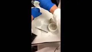 Pouring liquid nitrogen on my hand