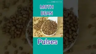 Activity 132 : Identification and Classification of Grains