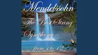 String Symphony No. 6 in E-Flat Major: I. Allegro