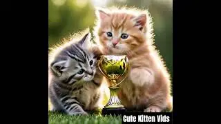 Kittens Playing with Trophy #cat #kitten #cutecat #trophy #playing