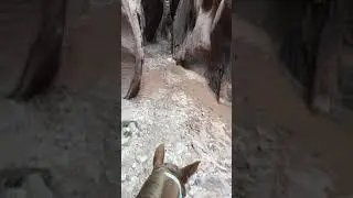 Riding Buckskin Gulch